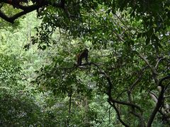 -黔灵山公园-南门售票处