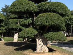 -济南国际园博园
