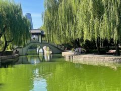 -团结湖公园