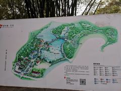 -老木棉·匠园