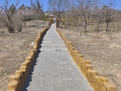 -白水寺森林公园
