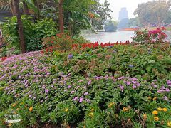 -荔湾湖公园