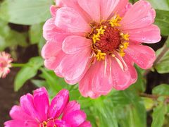 -1861意大利餐厅(文化广场店)