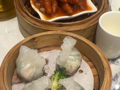-欢乐海岸美食联盟