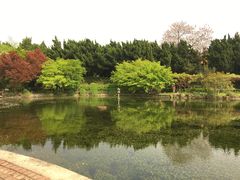 -嘉定紫藤园