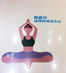 -卡莫瑜伽·普拉提