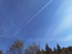 -苏木山森林公园