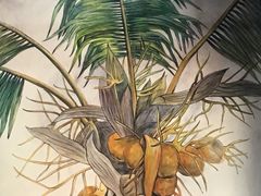 -文昌邓记清补凉(西沙路店)