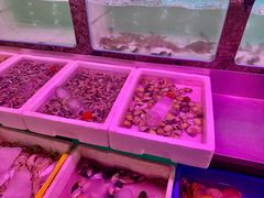 水产区-长平肥姐白粥·海鲜打冷