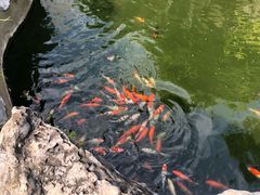 -北京邮电会议中心