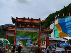 -苏木山森林公园