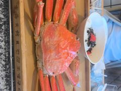 -震海贝烤贝·民俗特色店(延吉总店)