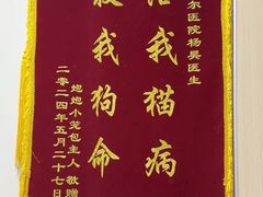 -艾贝尔宠物医院 ·中兽医·宠保定点(北门桥店)