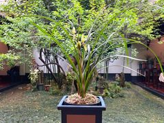 -成都杜甫草堂博物馆