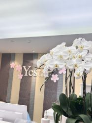 -Yestar宁波艺星整形医院