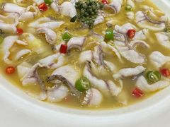 招牌青椒鱼-青花椒花椒鱼(合生汇店)