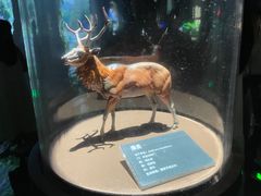 -中国湿地博物馆