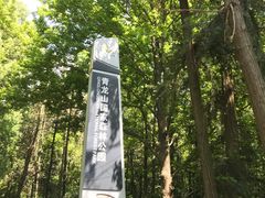 -青龙山国家森林公园