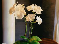 -京兆尹(雍和宫店)