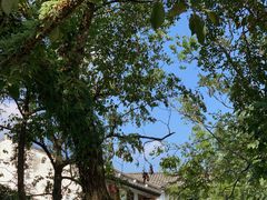 -楠溪江风景名胜区