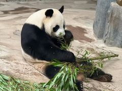 -南昌动物园