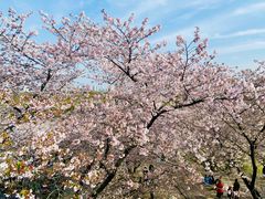 -苏州上方山国家森林公园