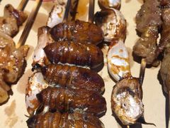 -串来串去(中关村店)