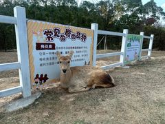 -清远熹乐谷温泉度假酒店