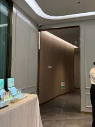 -伊丽汇