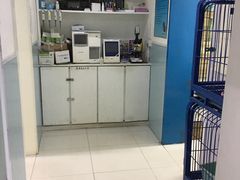 -中农大我爱我爱24h动物医院·中医针灸·猫专科·骨科医疗中心(双井店)