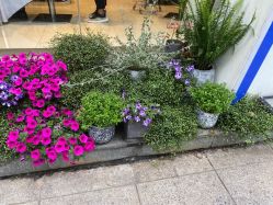 -京世沙龙