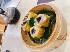 -点都德·毕德寮
