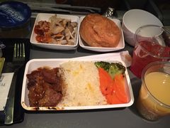 -新加坡航空公司(ION)
