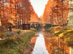 -黄海国家森林公园