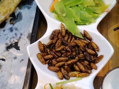 -食鸡公社辣子鸡·潍坊菜·烧烤