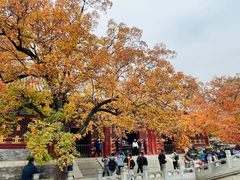 -香山公园