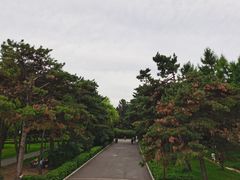 -长春市南湖公园