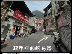 -南山植物园