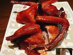 -大鸽饭(动物园店)