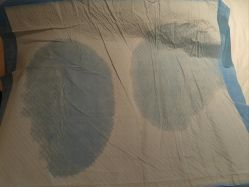 -瑞晨曦催乳产后健康(枣园店)
