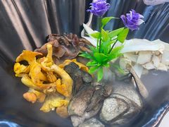 -名善山珍·野生菌汤锅(文殊院店)