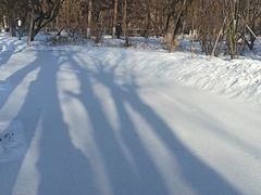 -黑龙江中医药大学