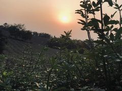 -南京市江宁方山