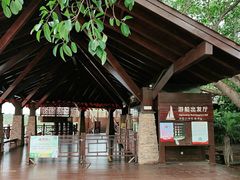 -东寨港红树林旅游区