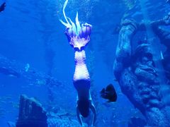 -波塞冬旅游度假区