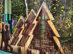 -汤旺河林海奇石景区