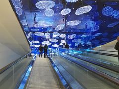 -盒马X会员店(上海森兰商都店)