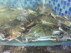 海鲜-浩运·海鲜青岛菜·海胆水饺(石老人店)
