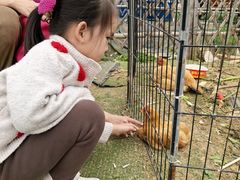 -光明小镇欢乐田园