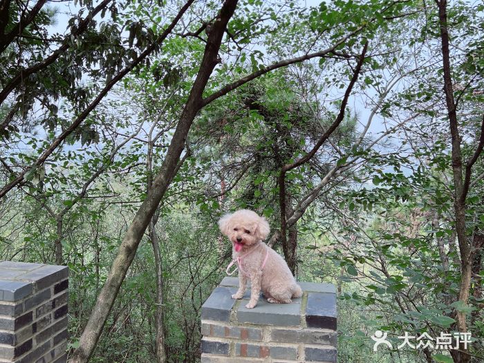 九真山风景区图片